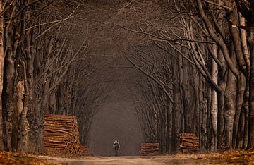 the lonelier cyclist by Roy De vries