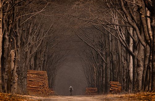 le cycliste le plus solitaire