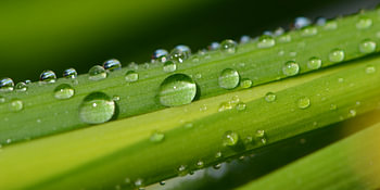 Wassertropfen