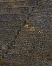 De lijnen van Machu Picchu van Arno van der Poel thumbnail