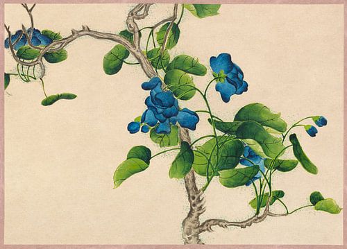 Climbing Blue Flowers (18th Century) painting by Zhang Ruoai.