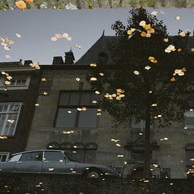 Delft, Museum Lambert van Meerten, spiegeling in water van gracht Oude Delft met herfstblaadjes van Anita Bastienne van den Berg