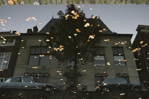 Delft, Museum Lambert van Meerten, spiegeling in water van gracht Oude Delft met herfstblaadjes van Anita Bastienne van den Berg