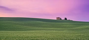 Pink Sunrise Val d'Orcia, Tuscany van Teun Ruijters