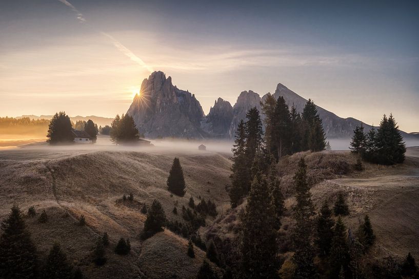 Morgenlatte von Martin Podt