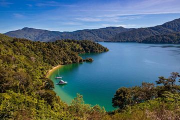 Marlborough Sounds by Antwan Janssen