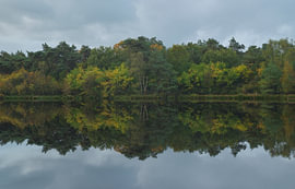 Autumn in Holtingerveld – Drenthe (Netherlands) by Marcel Kerdijk