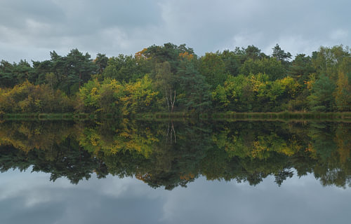 Herbst im Holtingerveld – Drenthe (Niederlande)