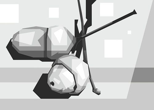 Landschap Eikel Popart Portret Grijswaarden