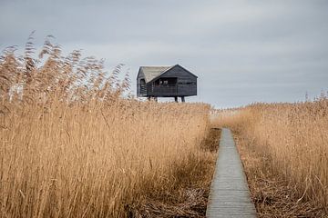 Refuge pour oiseaux Kiekkaaste sur Gea de Boer