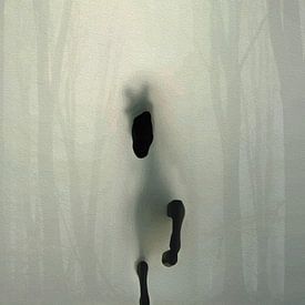 Mysterieus Lopend Zwart Paard Mistig Bos Sfeervol Portret van Ramy Salah Hefny