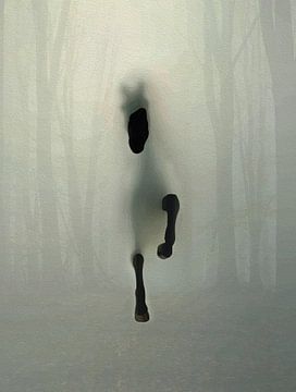 Mysterious Running Black Horse Misty Forest Atmospheric Portrait