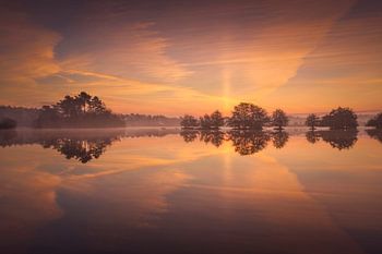 De Flaes, Nederland