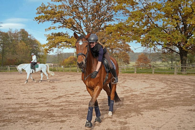 Best friends - brown Rhineland gelding and his rider by Babetts Bildergalerie