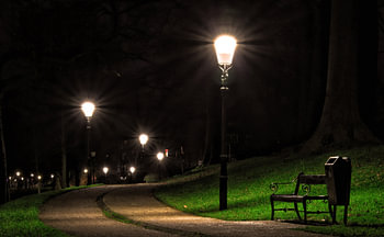 Banc dans le parc d'Amersfoort