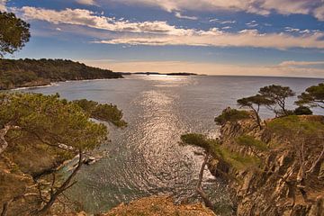 Baie sur la presqu'île de Giens dans le sud de la France sur Tanja Voigt