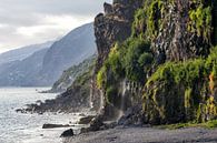 Waterval aan het strand op Madeira (Portugal) van Rick Van der Poorten thumbnail