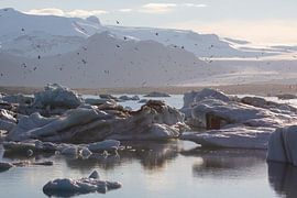 Island - Abendstimmung an der Gletscherlagune von AylwynPhoto