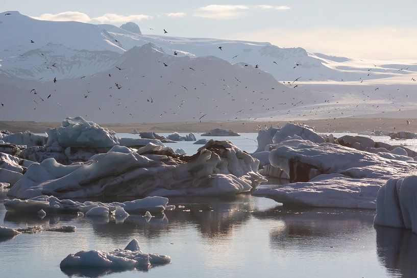 Iceland - evening atmosphere at the glacier lagoon by AylwynPhoto