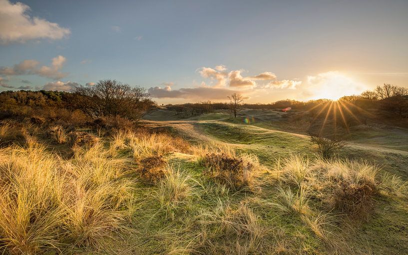 Zonsopkomst Amsterdamse Waterleidingduinen van Jacqueline de Groot