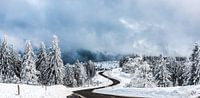 Winter im Nordschwarzwald