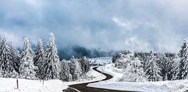 Winter im Nordschwarzwald von Georg Mussack
