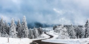 Winter in the Northern Black Forest by Georg Mussack