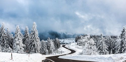 Winter im Nordschwarzwald
