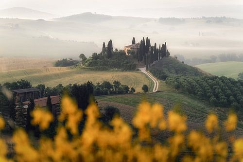 Morning mist at agriturismo in Val d'Orcia