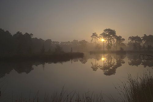 Zonsopkomst boven de vennen.