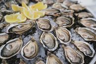 Fresh oysters on ice in close-up with lemon by Simon Peeters thumbnail