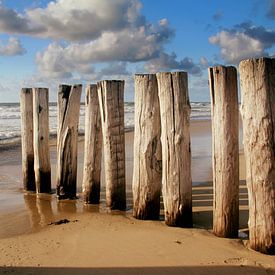 Breakwater Domburg , soldiers of the sea..... by Els Fonteine