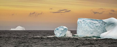 Les icebergs autour de la Géorgie du Sud