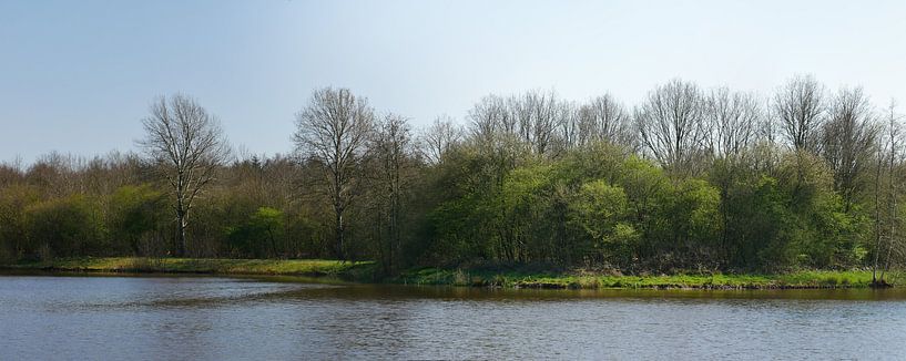 Ein Waldrand im zeitigen Frühjahr. von Wim vd Neut