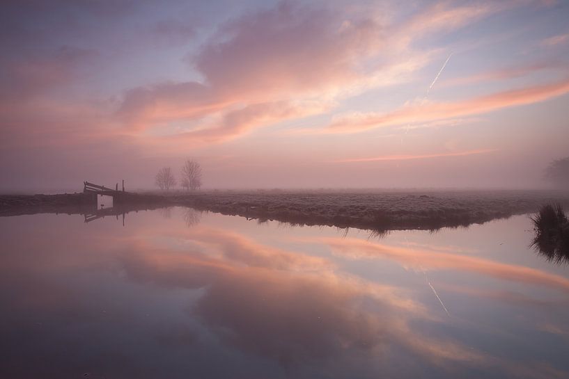 Ochtendmist in het Polderpark von Frans Batenburg