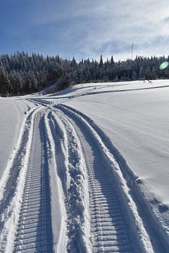 Des traces de motoneiges dans la neige sur Claude Laprise