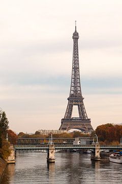 The famous Eiffel Tower in Paris by Rob van der Teen
