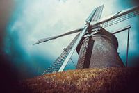 Molen Maallust - Amerongen (Nederland)