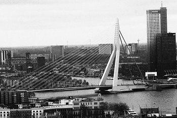 A Rotterdam Icon – The Erasmus Bridge in Black and White