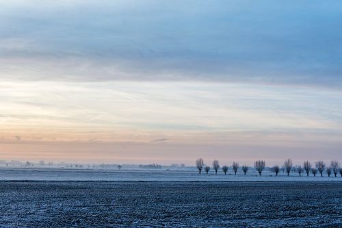 Polder Rijnenburg in blauw