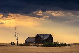 Verlassene Farm in der Praerie in Kanada von Roland Brack