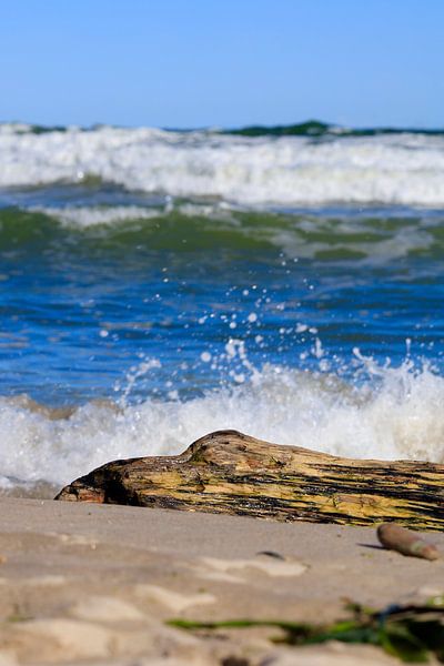 Ostseeimpression bei Sellin von Thomas Jäger