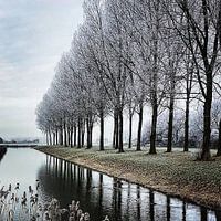 Winter Wonder Land
