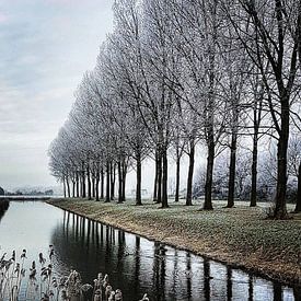 Winter Wonder Land von Niels Krommenhoek