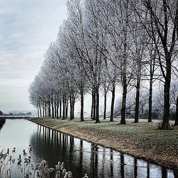 Winter Wonder Land van Niels Krommenhoek