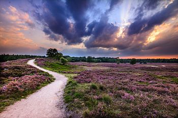 Zonsondergang op de Heide