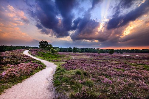 Zonsondergang op de Heide