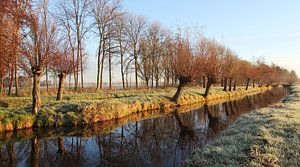 winter Light von Yvonne Blokland