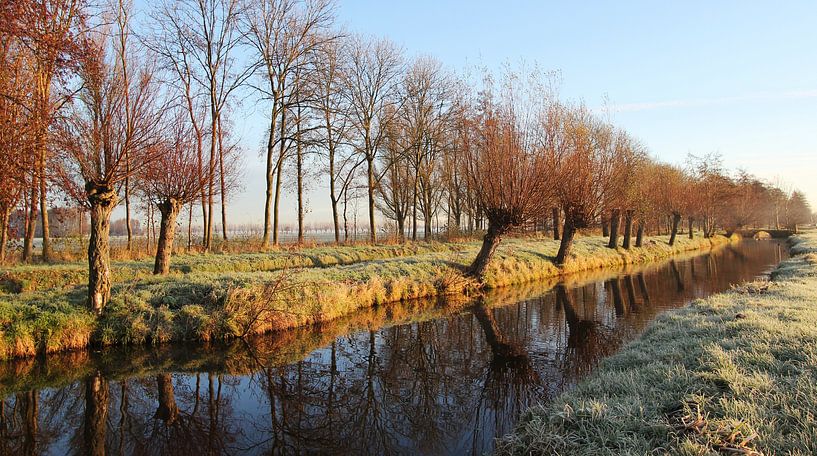 Winterlicht van Yvonne Blokland