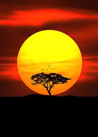 Murmures de la forêt ancienne